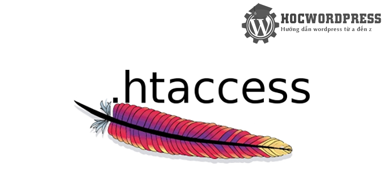 Htaccess Wordpess là gì? hướng dẫn tạo file .htaccess đơn giản