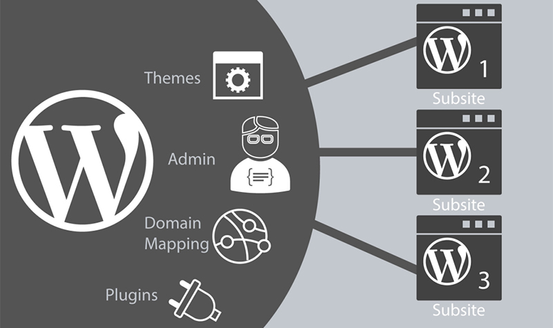 multisite wordpress