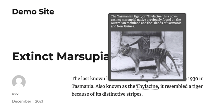 tham khảo keyword tooltips